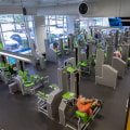 The Growing Trend of Vegan-Friendly Gyms in Alachua County, Florida
