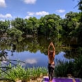 The Growing Vegan Movement in Alachua County, Florida