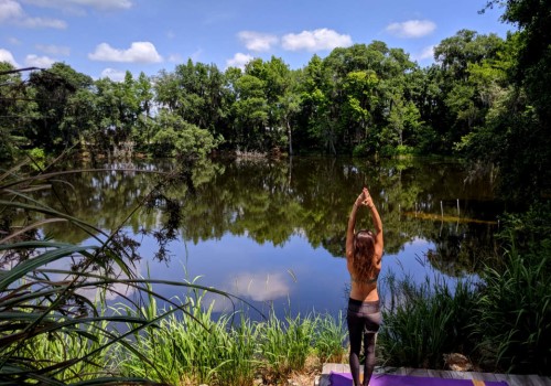 The Growing Vegan Movement in Alachua County, Florida